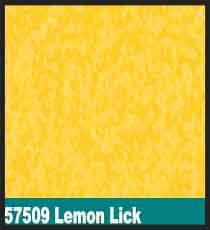 57509 Lemon Lick